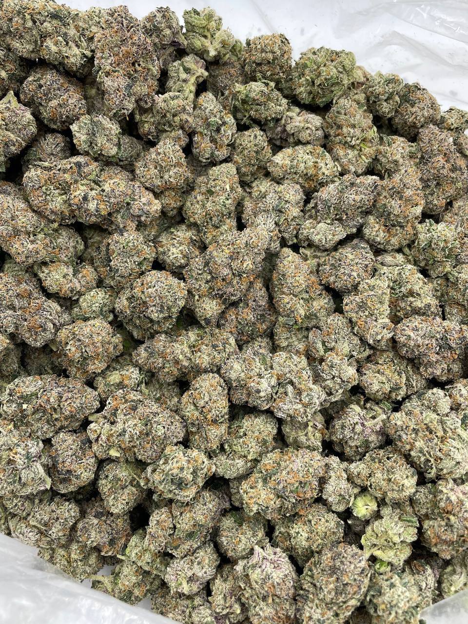 Blue Raspberry Snow Cone - Image 2