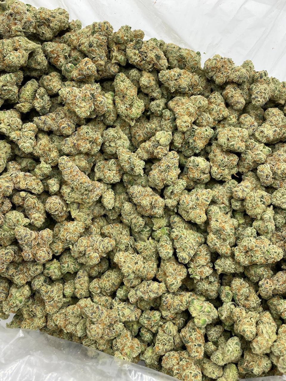 White Jawbreakerz - Image 2