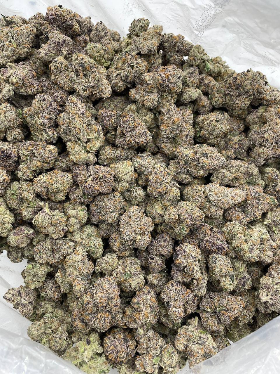 Lemon Slush - Image 2