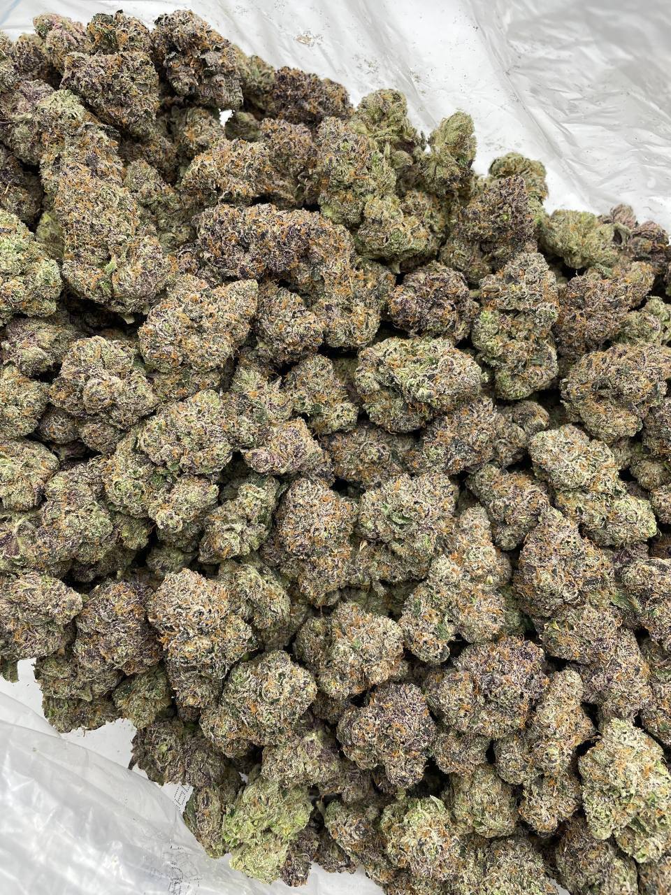 Blue Air Headz - Image 2