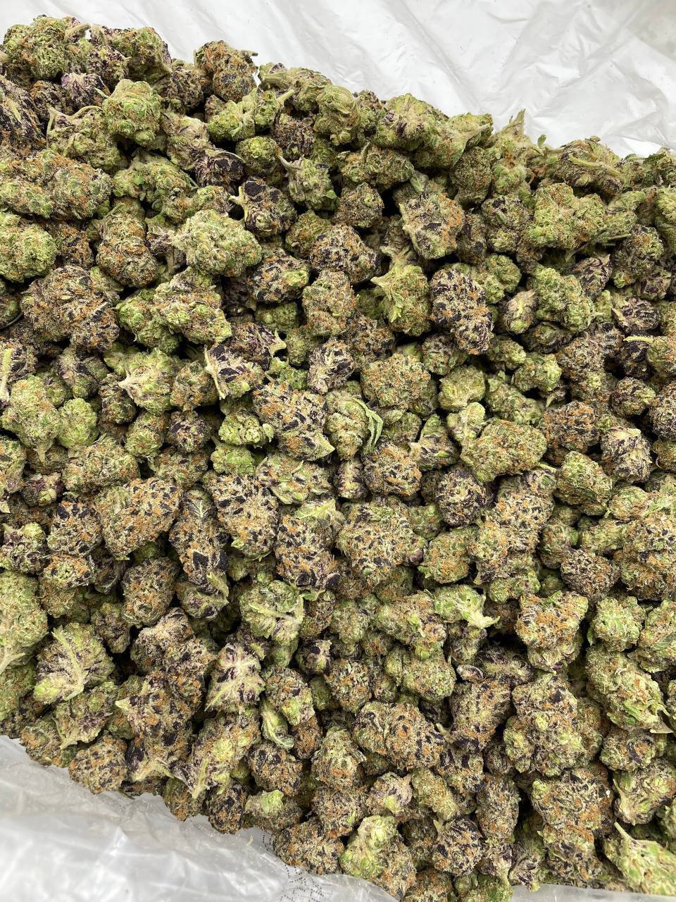 Peanut Butter Biscott - Image 2