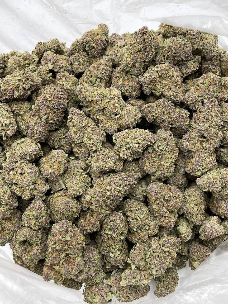 Cherry Sprite - Image 2