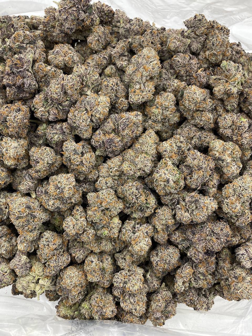 Blue Altoidz - Image 2