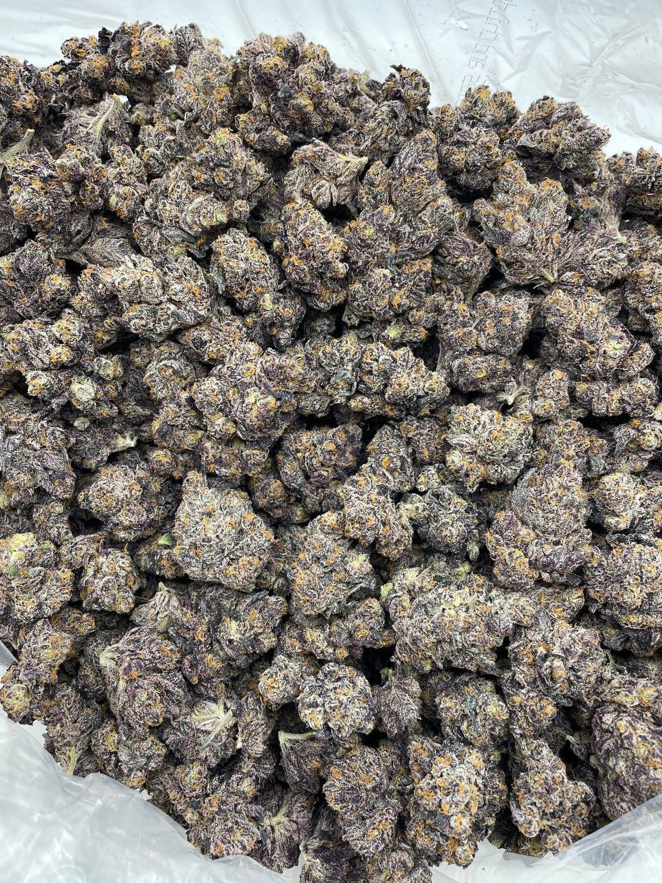 Mega Nightshade - Image 2