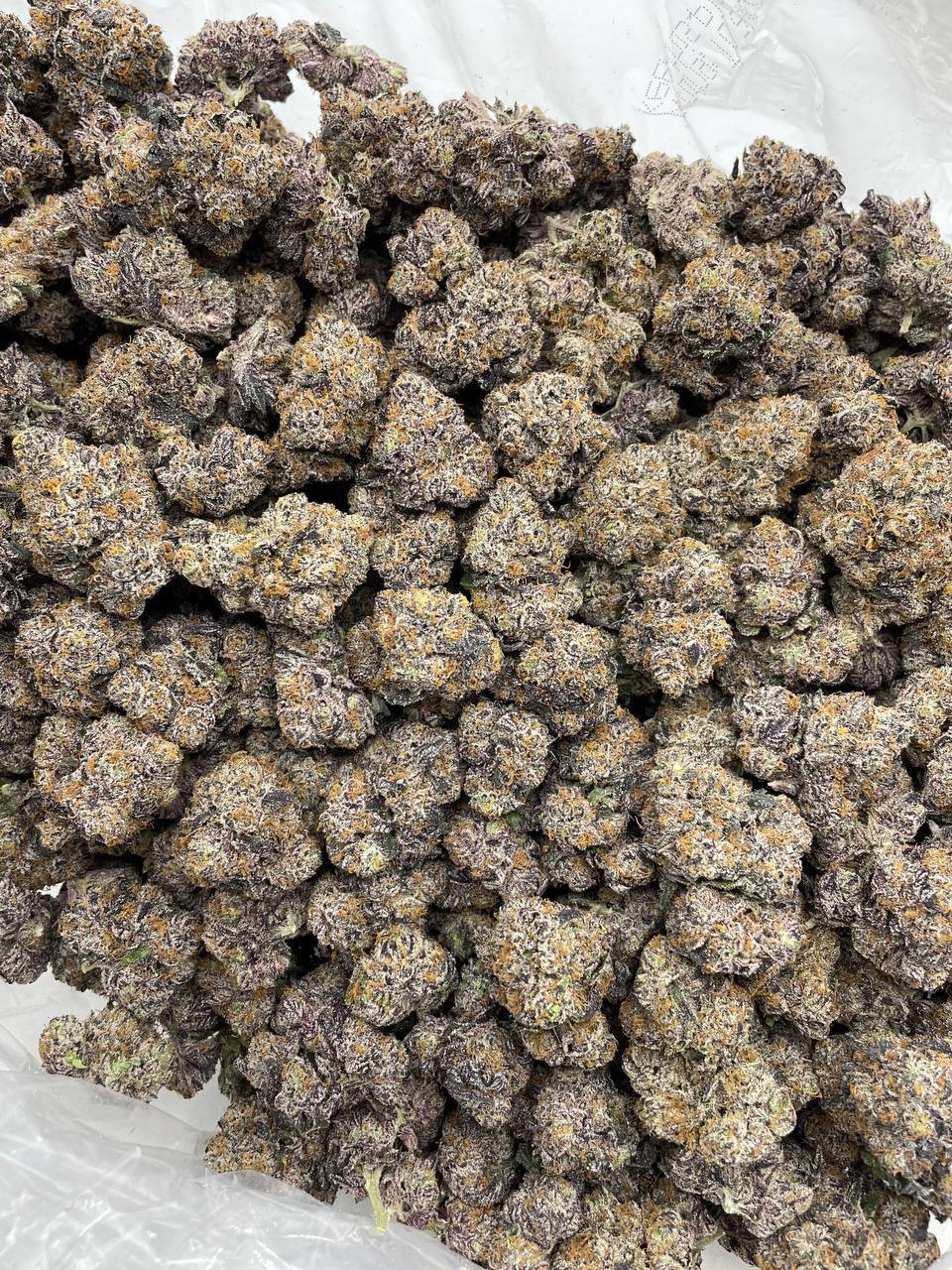 Guava Biscotti - Image 2