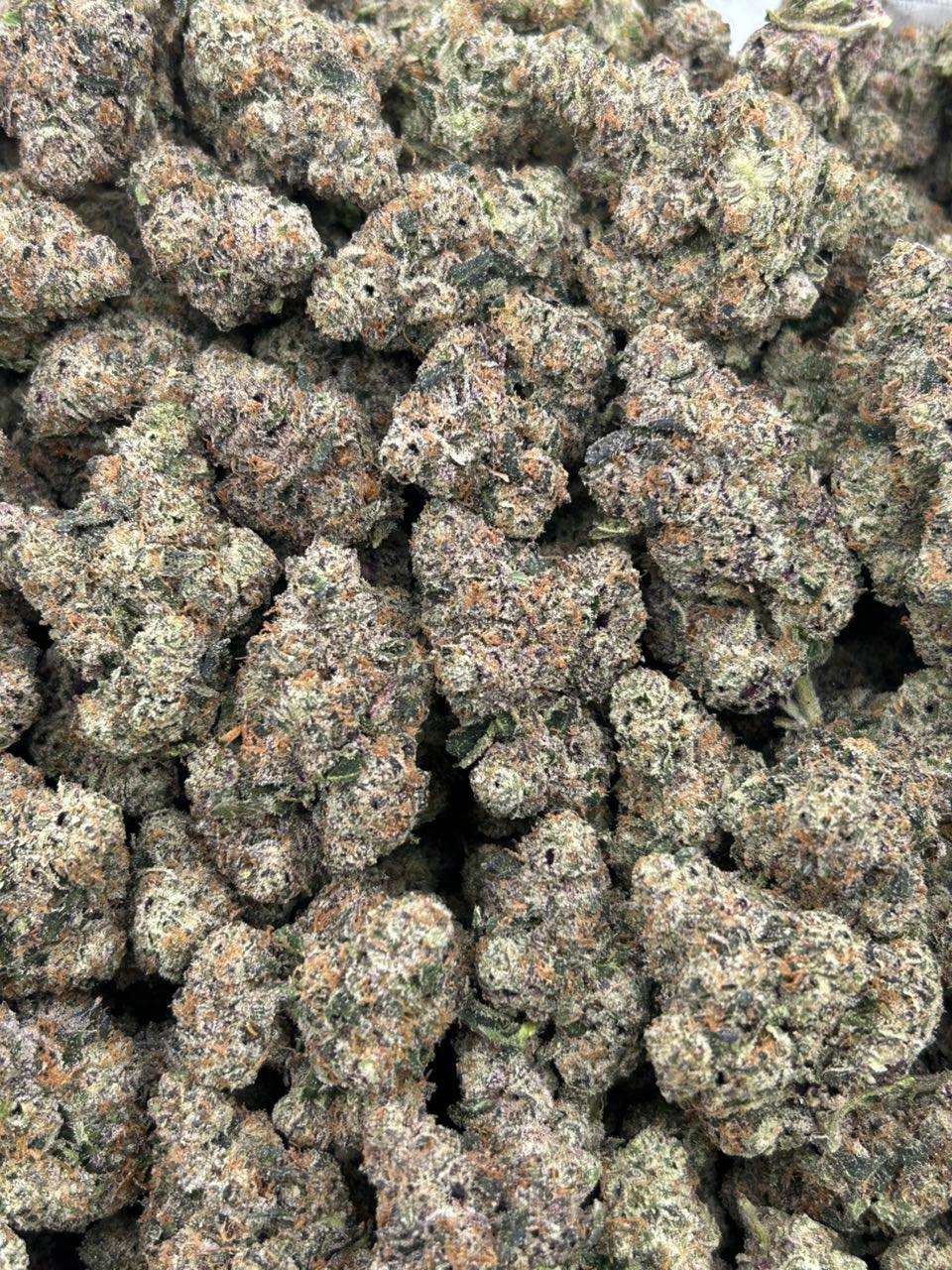 Presidential Runtz - Image 2