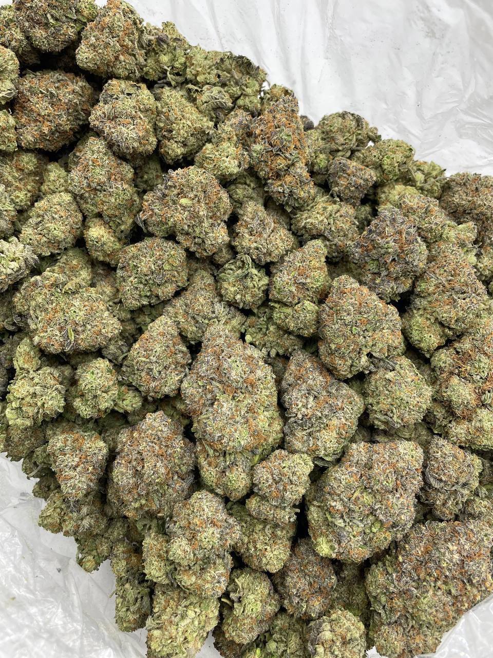 Sour Patch - Image 2