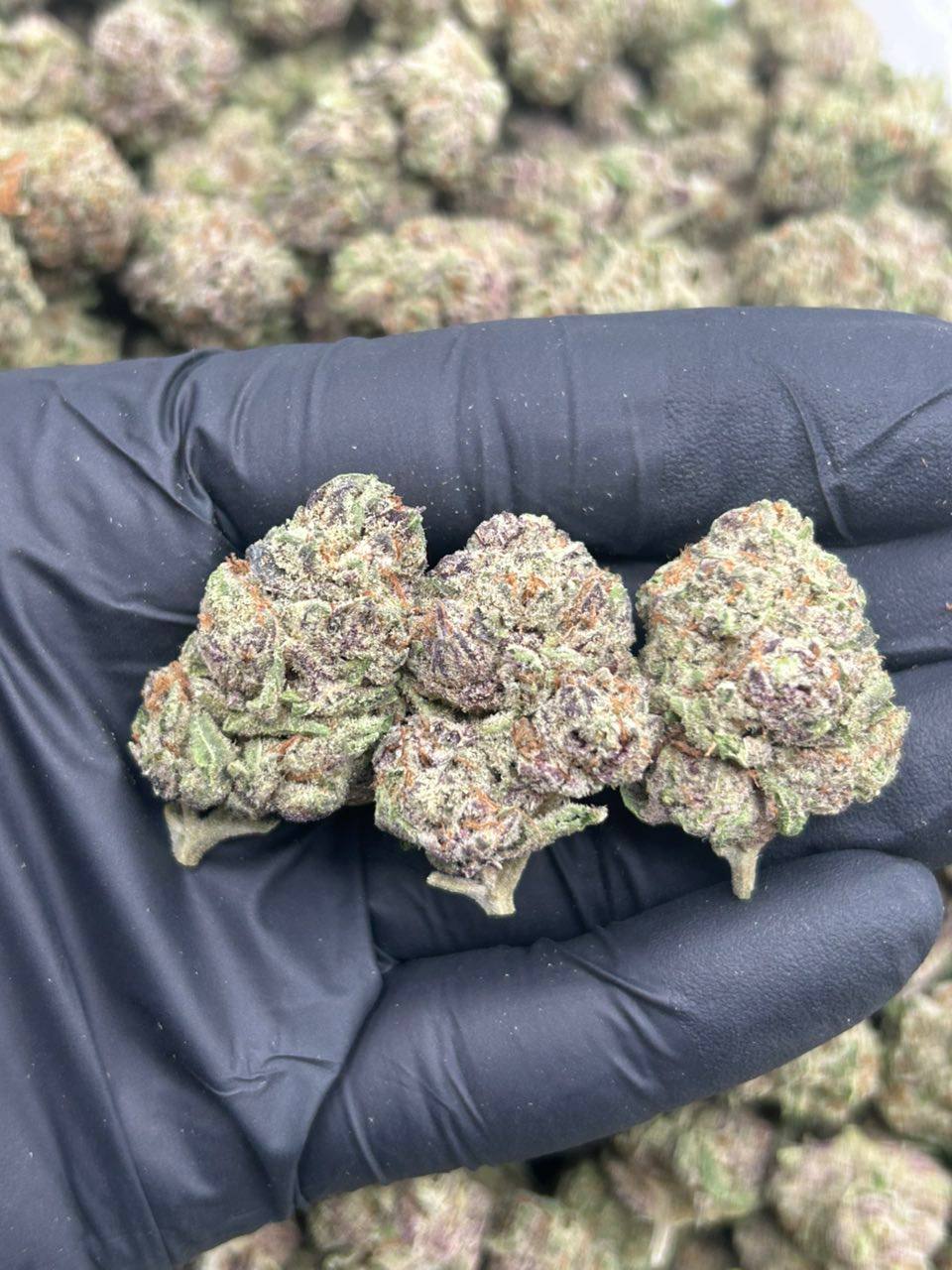 Grape Punch