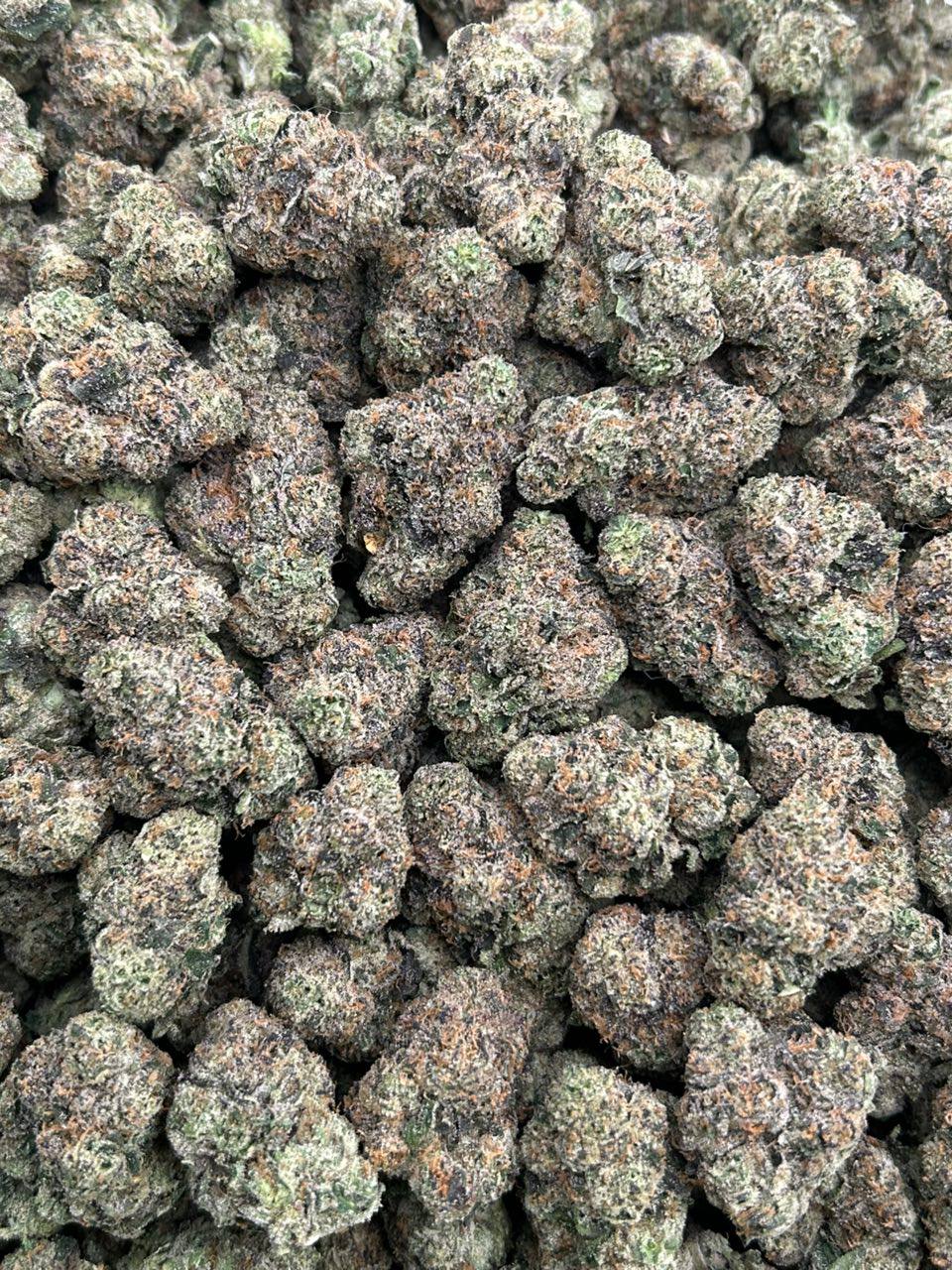 Lemon Fiz Gelato - Image 2