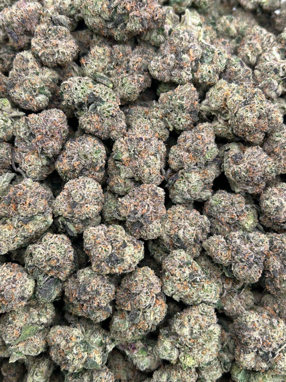 Bolo Runtz - Image 2