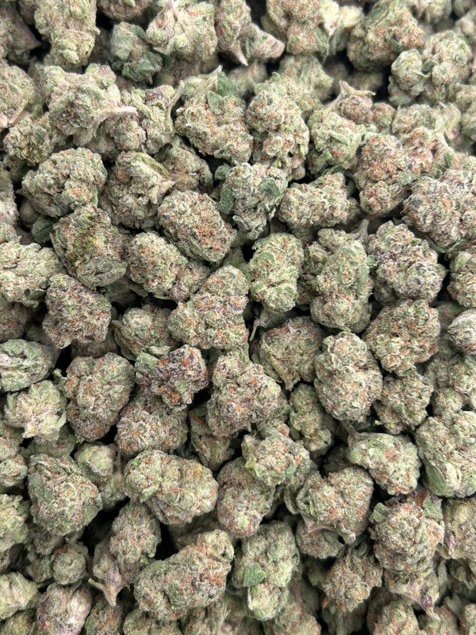 Blue Gushers - Image 2