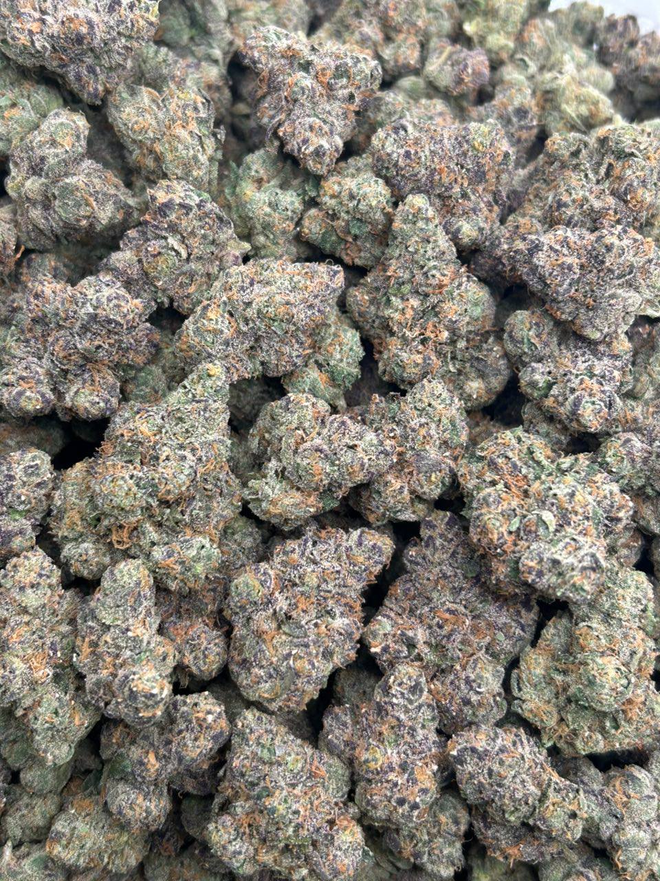 White Caviar - Image 2