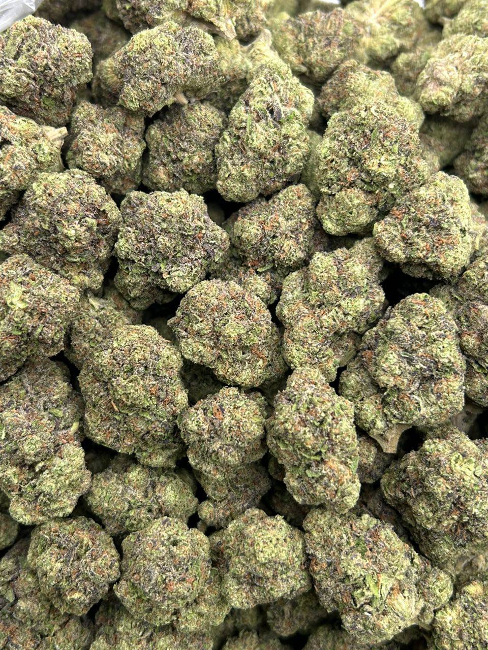 Purple Gruntz - Image 2