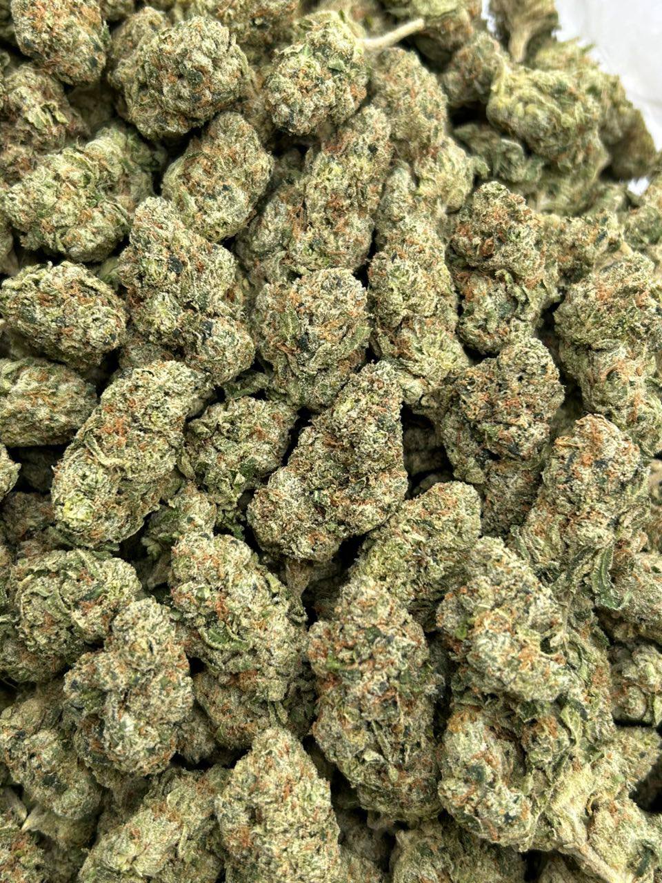 Sugar Candy - Image 2