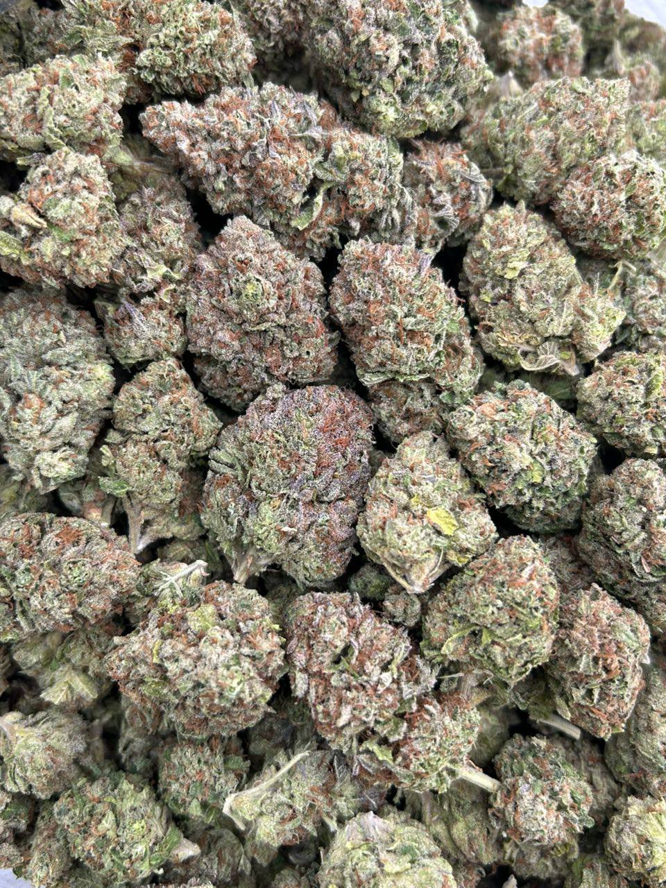 Candy Gummy - Image 2